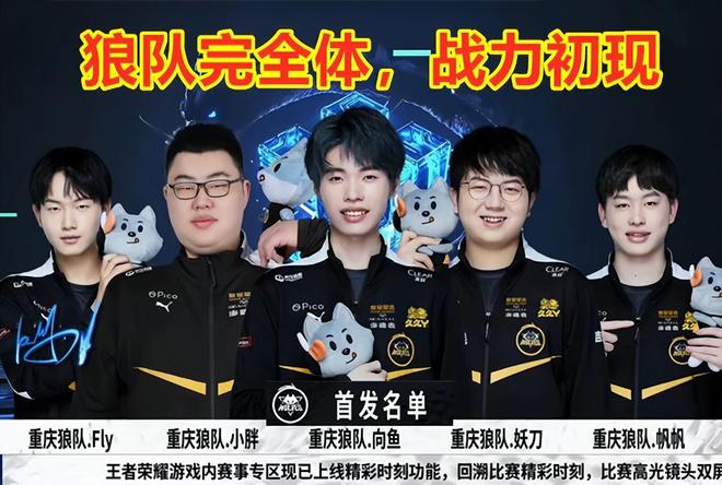 稳定的技战